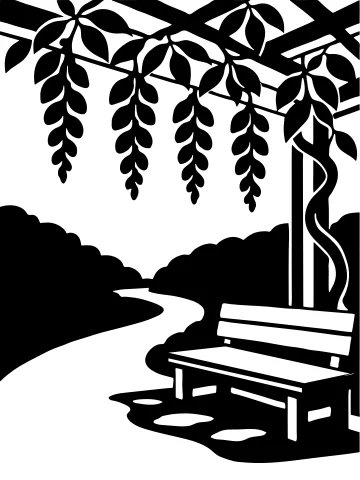 A Bench beneath Wisteria